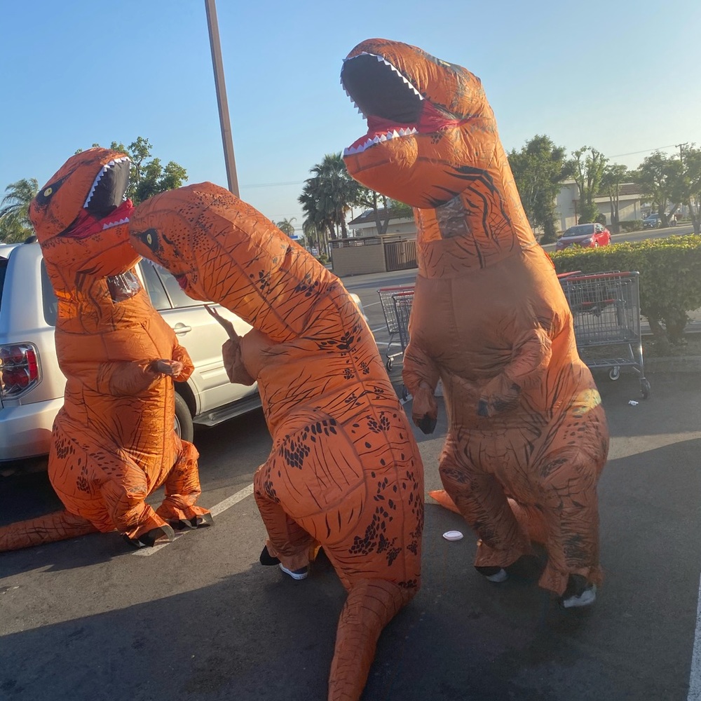 Inflatable dinosaurs Costume